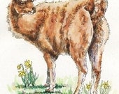 LLAMA BUTTERFLY Original Watercolor on Ink Print 11x14 Matted Ready to Frame