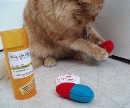 Catatonica - pill shaped cat nip toy