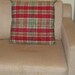 LADYBUG AND RED CHECK PILLOW 20X20