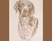 German Shorthaired Pointer - Artist Kline draws his dog art using only words. Signed 11x17 Lithograph 57/500 - Adds Your Dogs Name Free