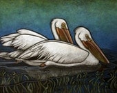 American White Pelicans (Special Concern), Water Celery