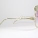Vintage 70s Swan Sunglasses Eyewear Rare