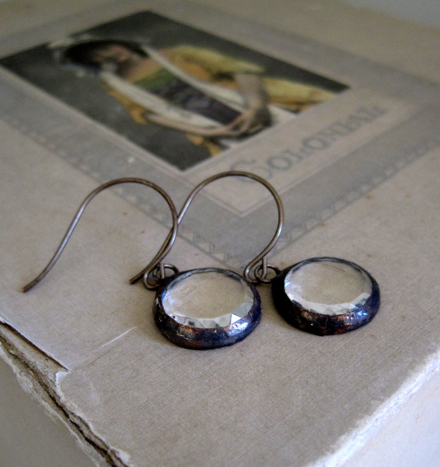 Clearly Seen Faceted Glass Earrings