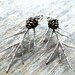 Pining for You Earrings
