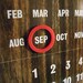 Vintage Faux Bois Perpetual Wall Calendar