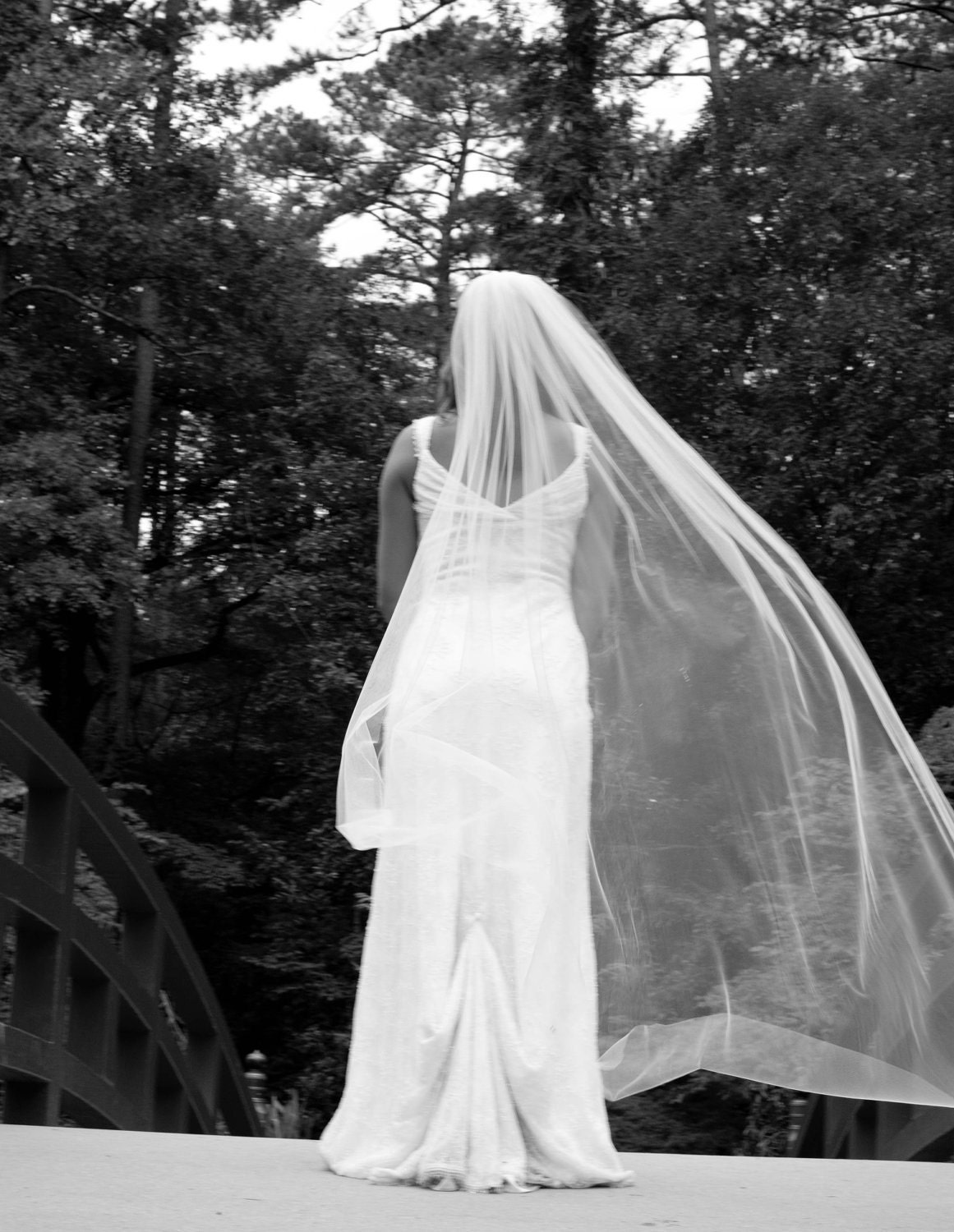 Wedding veil - Chapel Length bridal veil - 80 inches long with a simple cut edge