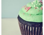 Wishes - Fine Art Photograph - Cupcake Love