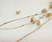 Winter White - Fine Art Photograph - Natural Earth