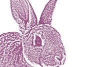 BUNNY RABBIT - 11x14 Signed Art Print
