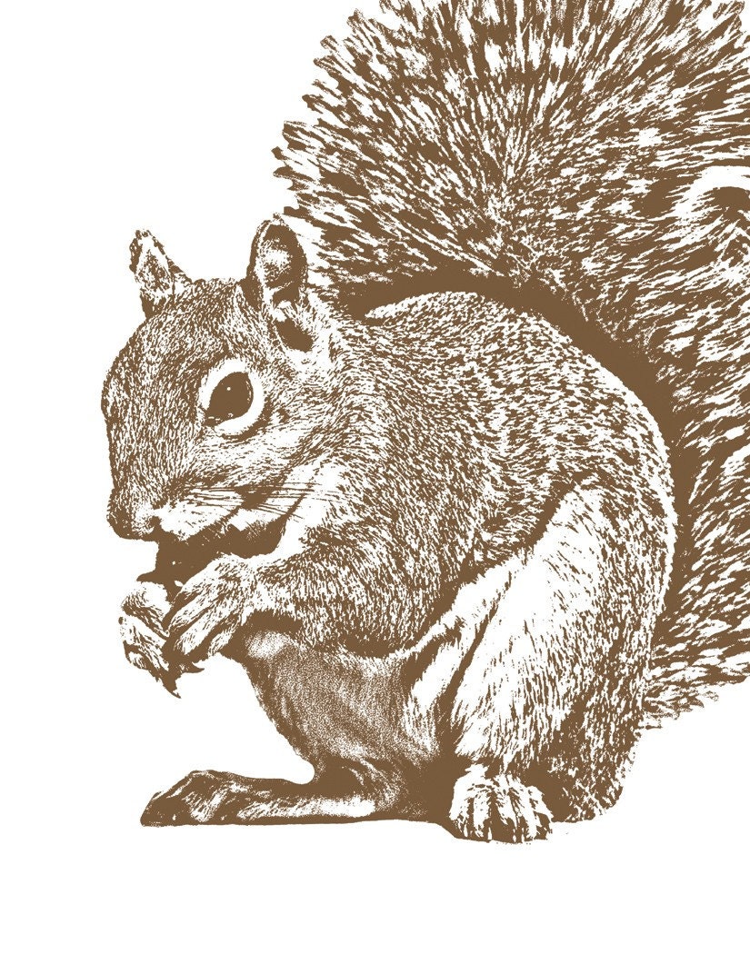 The Squirrel Did It - 11x14 Signed Art Print