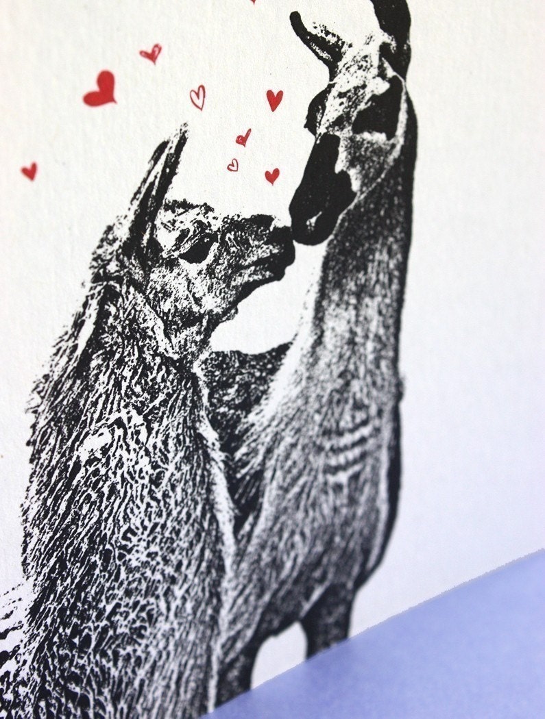 Whole LLAMA Love - Valentine or Anytime Greeting Card