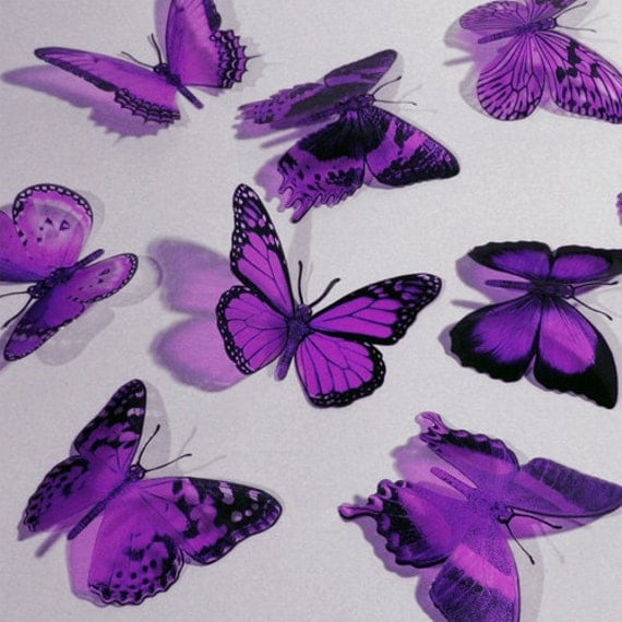 AMETHYST Color BUTTERFLIES 12x Purple Butterfly