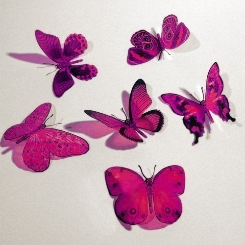 12x 3D BUTTERFLIES -- AQUA