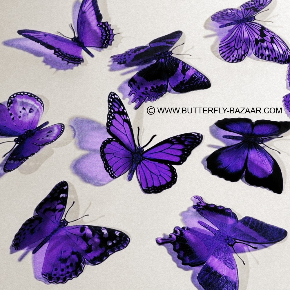 BUTTERFLIES PURPLE LAVENDER 15x