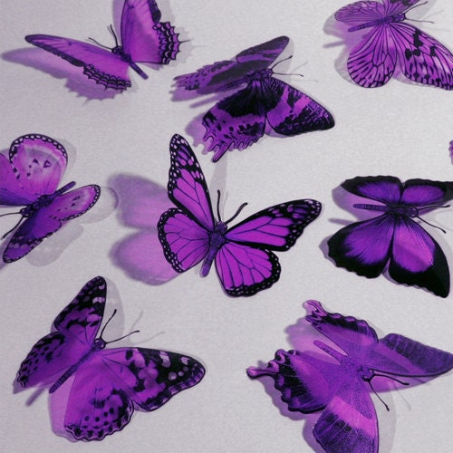 AMETHYST Color BUTTERFLIES 12x Purple Butterfly