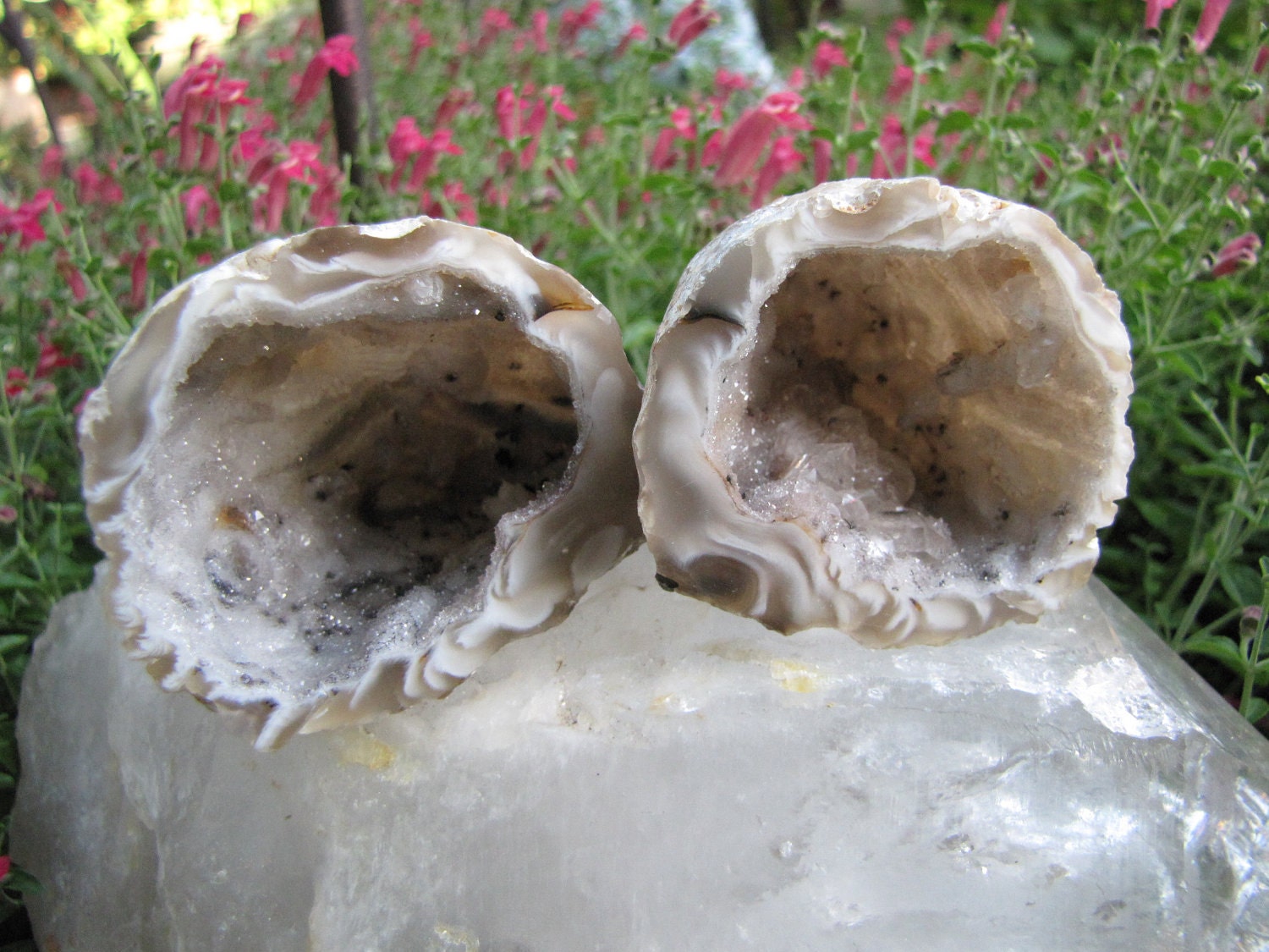 Quartz Crystal Geodes Beautiful Healing Natural Crystals / Mini Crystal Caves/Collector Geode Specimen