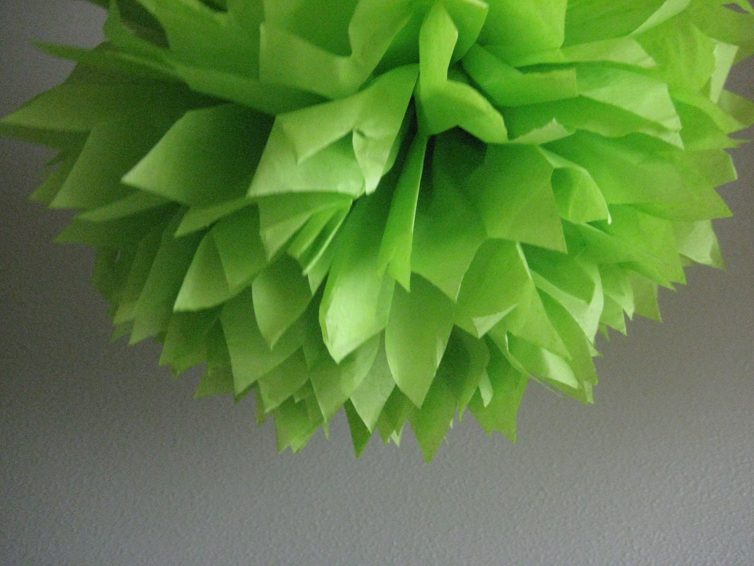 Lime Green - 1 Tissue Paper Pom Pom DIY Decor Kit - As Seen on Portlandia Season 2 Il_170x135