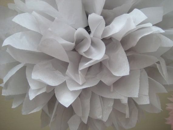 2 Medium Tissue Pom - Pick your Color - Portland Original Il_570xn