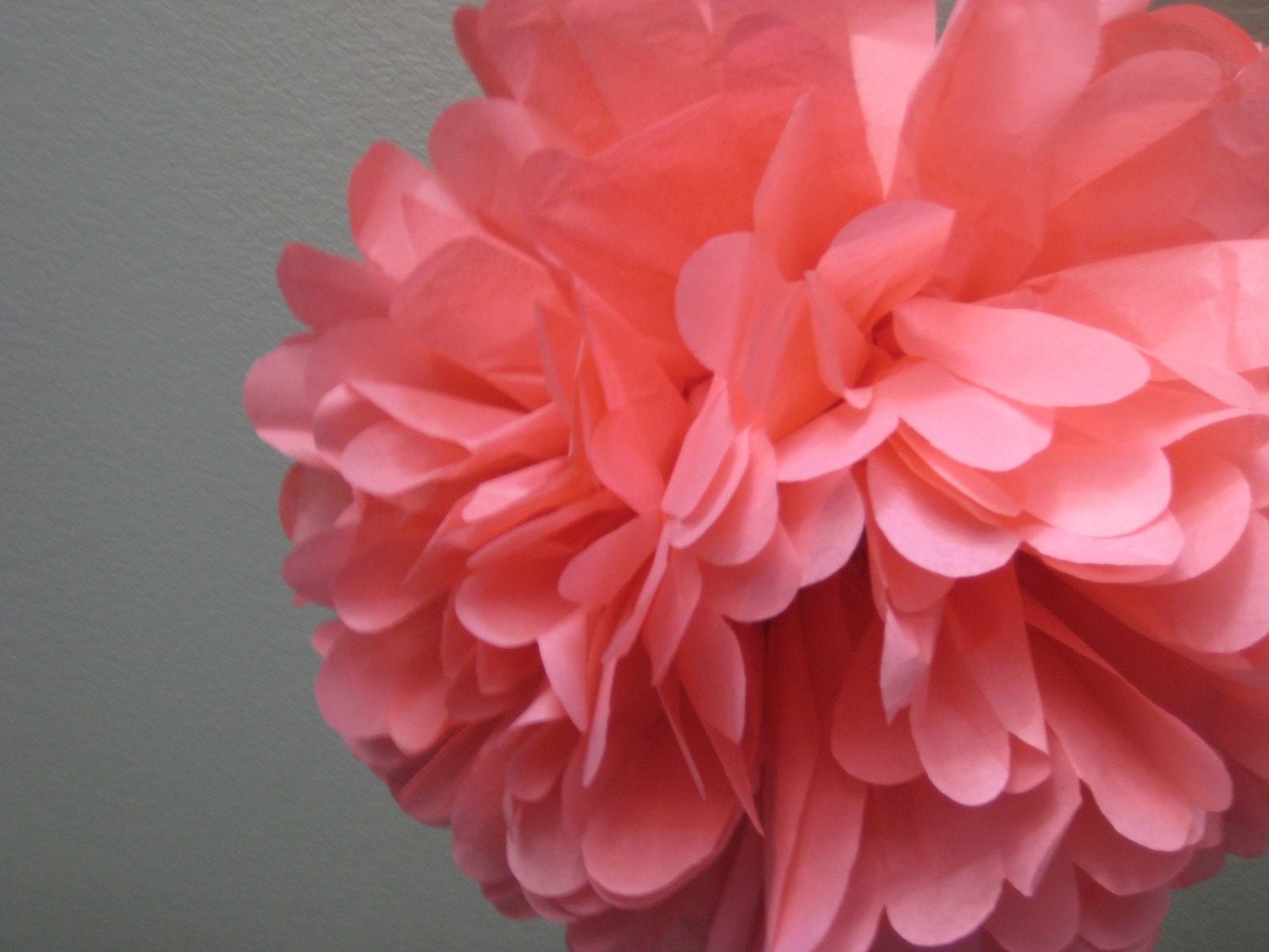 Coral - 1 Large Tissue Pom - DIY Decoration Kit - Fast Ship - Sweet Sixteen Birthday Cake Backdrop Il_570xn