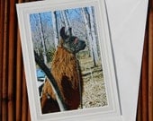 Pack Llama, Photo Greeting Card