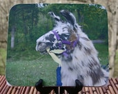 Snack Time, Llama Photo Mouse Pad