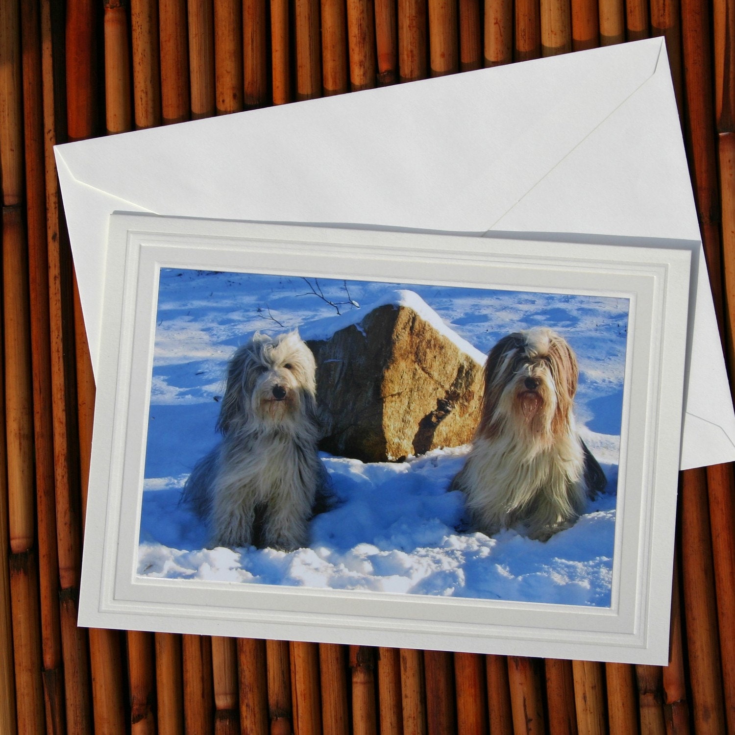 Snow Angels, Bearded Collie Photo Greeting Card, Blank