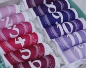 Pinks and Purples - Set of 12 Monthiversaries