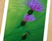 Soul mates- flower photo note card