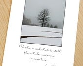lone tree in winter note card inspirational blank photo card with beautiful tree silhouette in winter