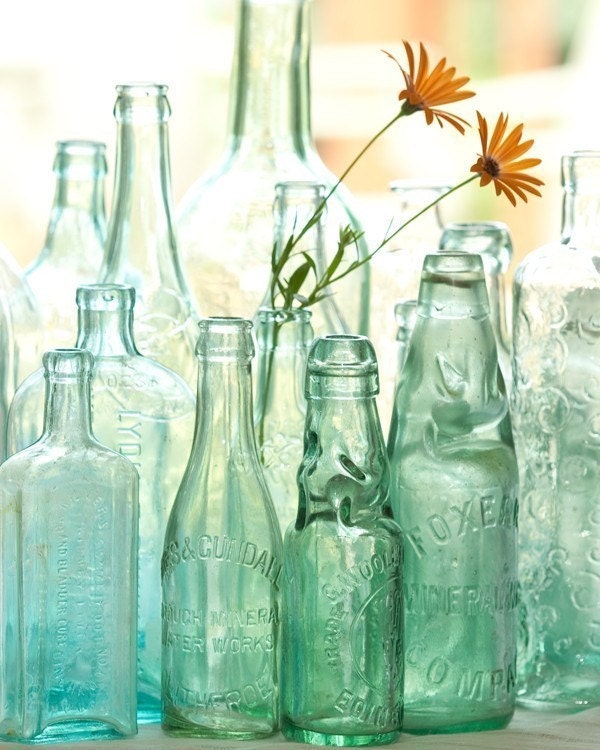 Glass Reflections- daisy flowers in old antique bottles garden style fine art photo
