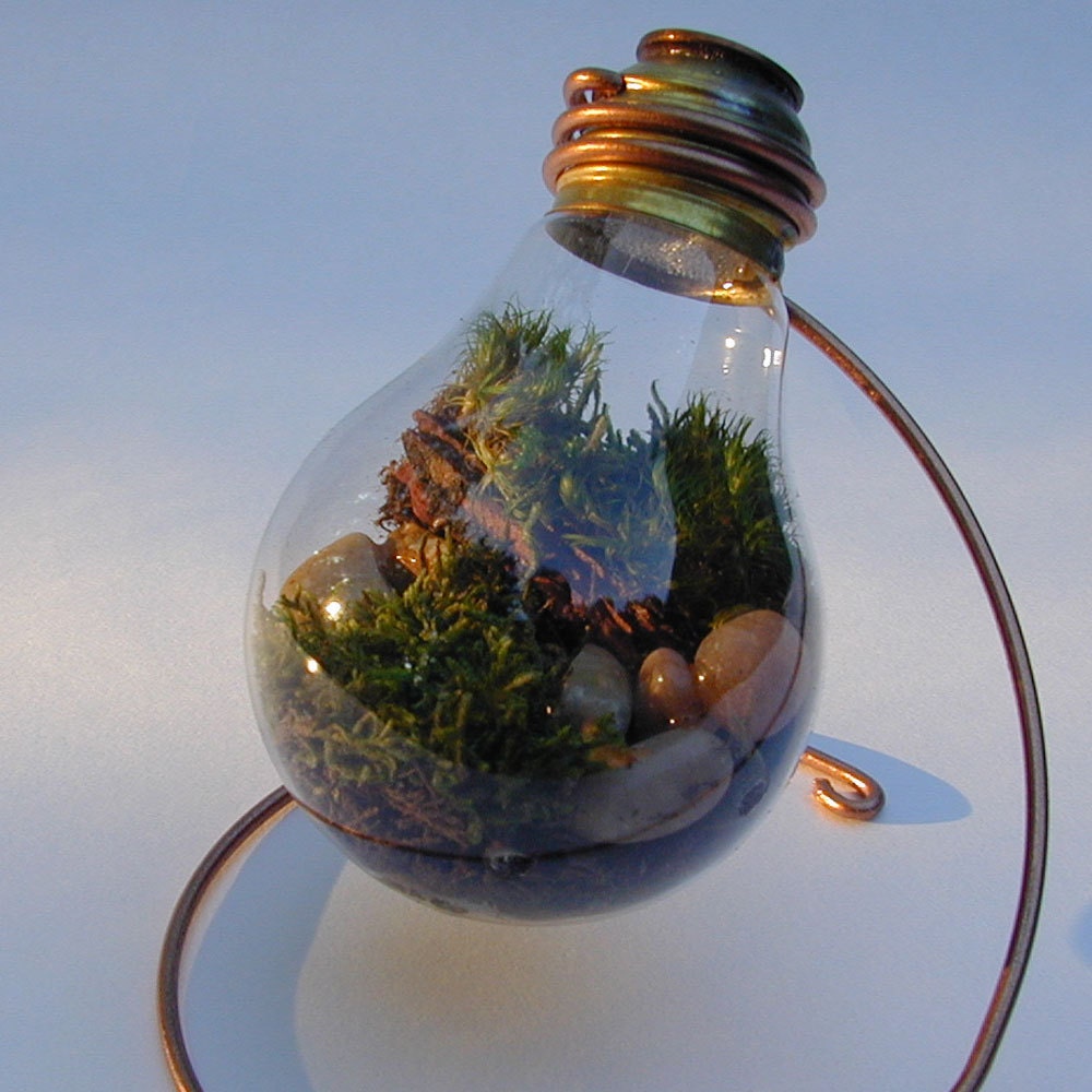 Plain 25 watt Moss Terrarium