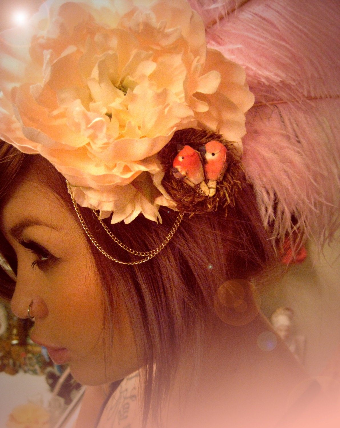 The Bird's Nest
