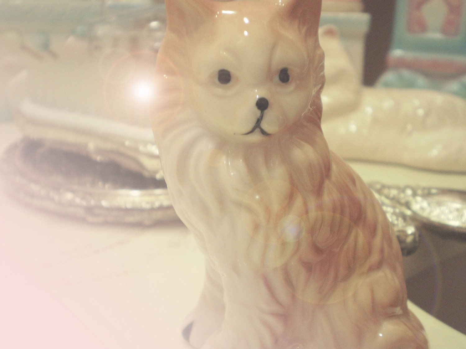 Little Lion Cat