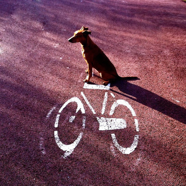 371 Hop on your bike - PHOTOGRAPH  - Signed and Numbered  14 x 14 cm / 5.5 x 5.5 inch ISSUE 20 EX.