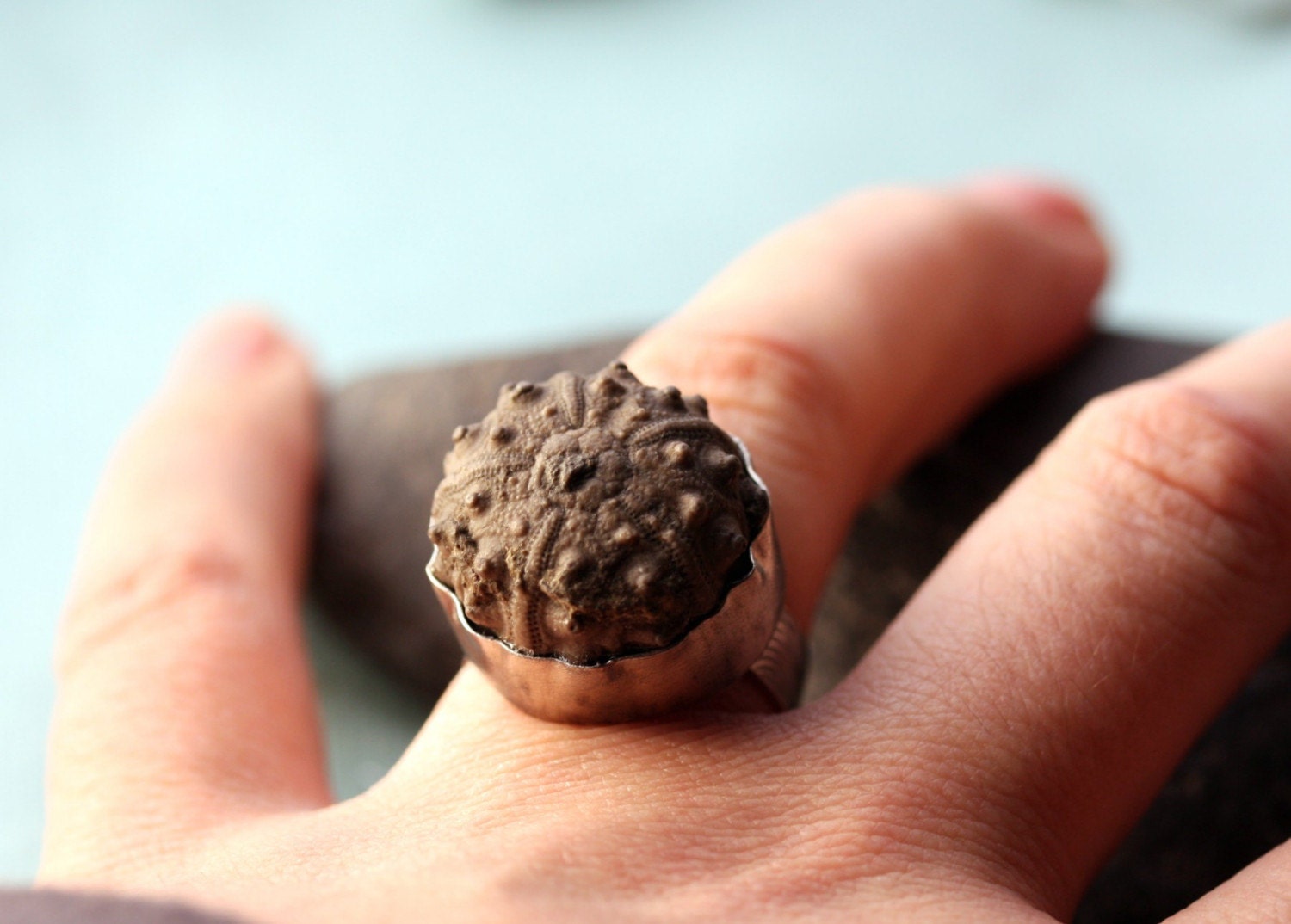Sea Urchin Fossil in Oxidized Sterling Silver Ring