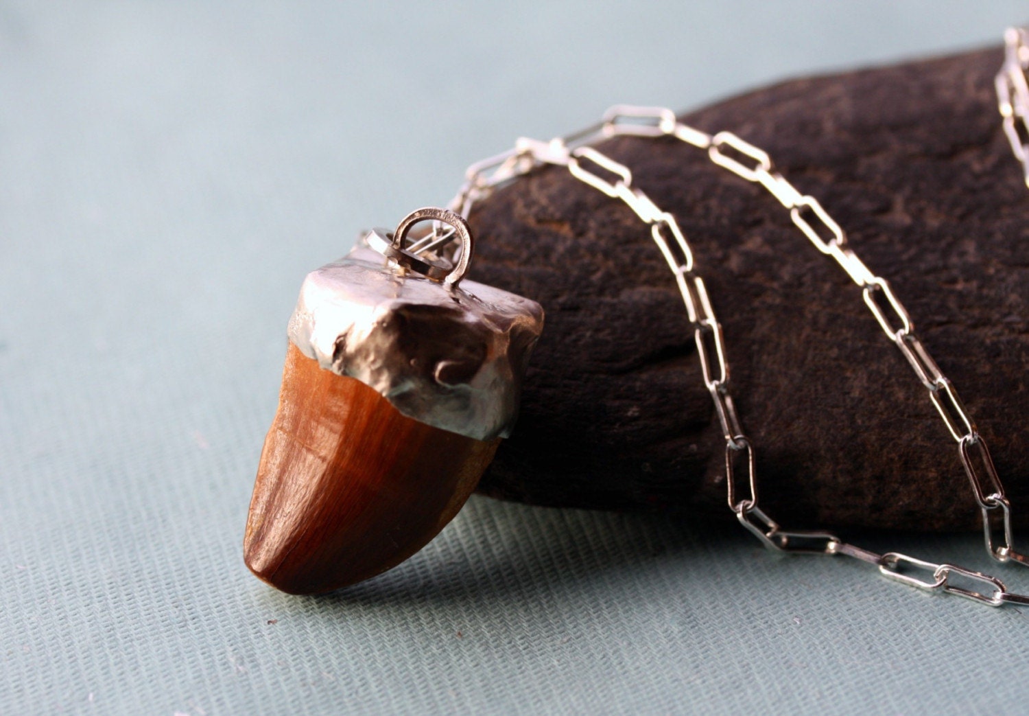 Fossilized Mosasaur Tooth in Reticulated Silver Necklace- Reserved