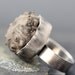 Sea Urchin Fossil in Oxidized Sterling Silver Ring