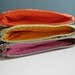 Mini Zipper Pouch - Set of 3 Fall Orange & Brown