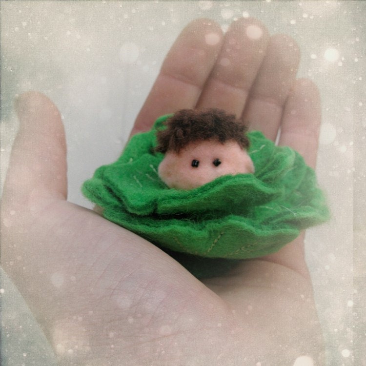 French Personalized set 6 personalized flower baby boy, Born in a cabbage - baby shower, Christening, birthday party, communion keepsake