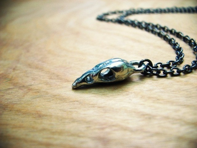 Whimsy or Rock and Roll  Bird Skull (small-petit)