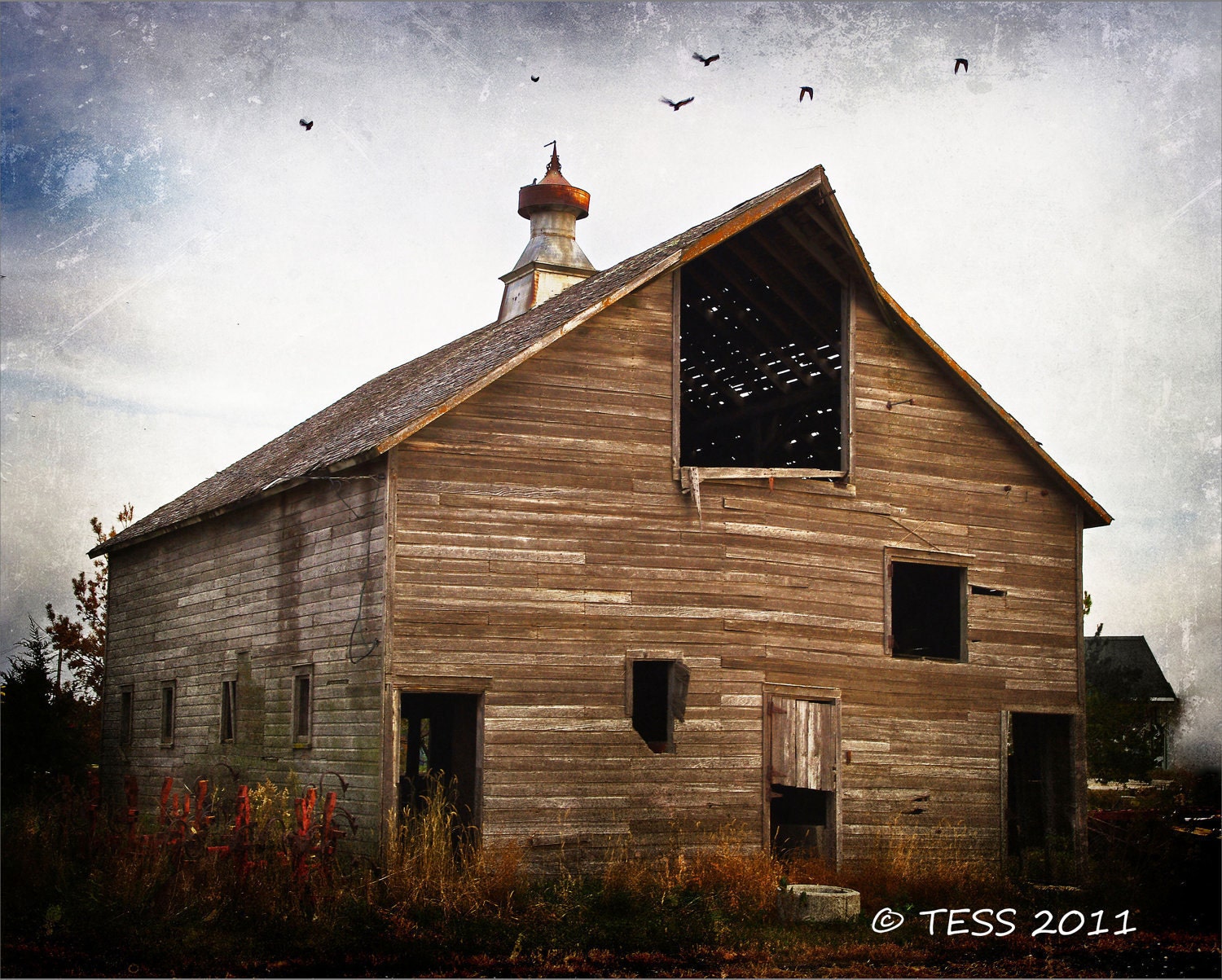 Old Barn Photo  -  8 x 10 Photography - Landscape - Weathered Barn - Iowa Barns