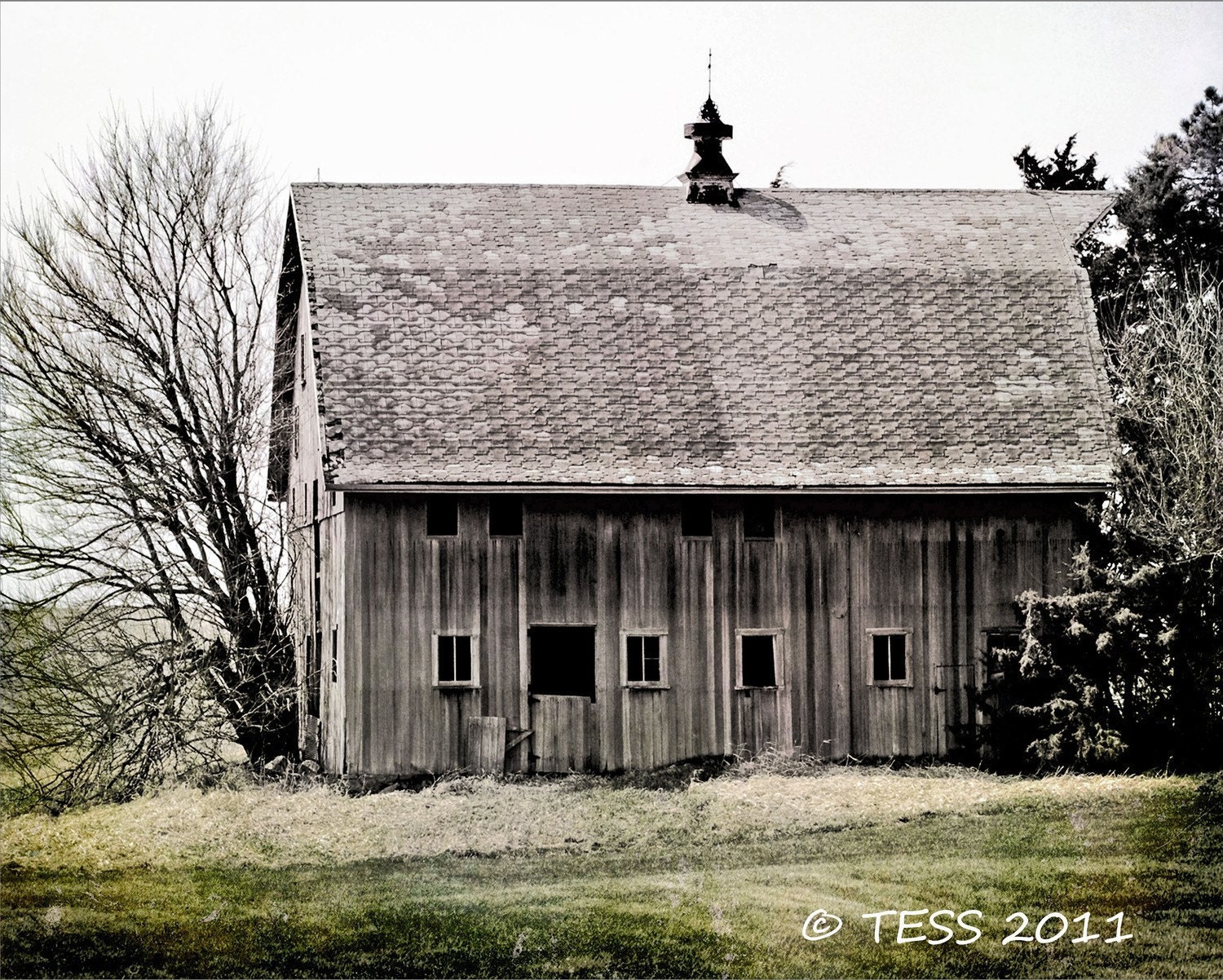 Weathered Old Barn Photo - 8 x 12 Photographic Print - Landscape Photography