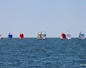 505 Spinnakers Flying