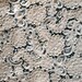 Vintage Bridal Lace Fabric Yardage