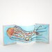 Pink Jellyfish Miniature Accordion Book - Original Illustration