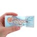 Pink Jellyfish Miniature Accordion Book - Original Illustration