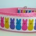 Peeps  Dog Collar
