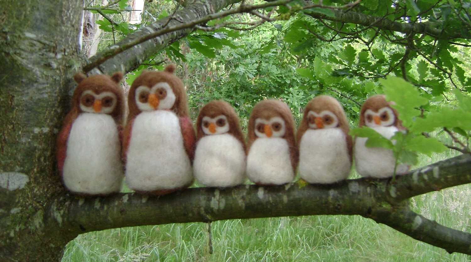 wool owls