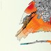 Orange Bird - Giclee Print, 10x10