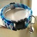 Silver Cat Collar with Blue contrast
